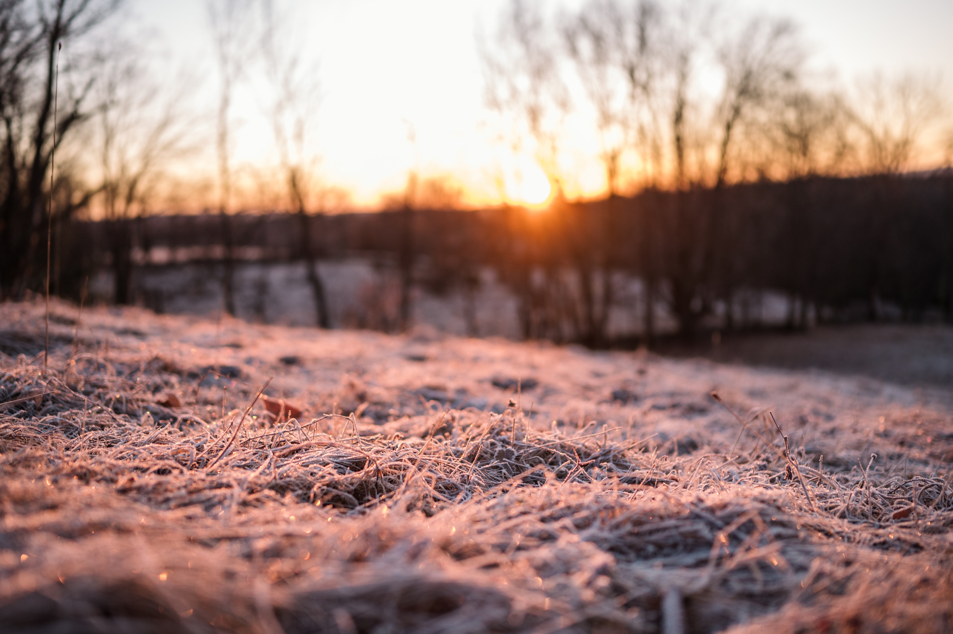 Host a Retreat at AKERA | Catskills Retreat Center Near NYC