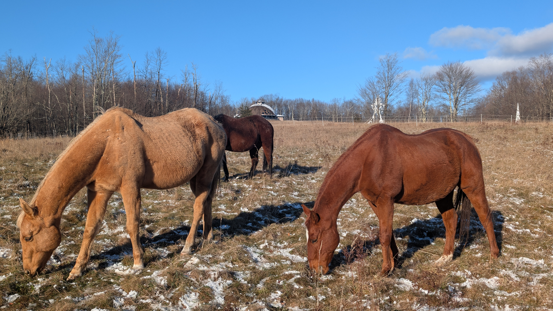Host a Retreat at AKERA | Catskills Retreat Center Near NYC